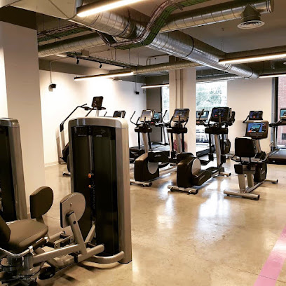 Anytime Fitness (León