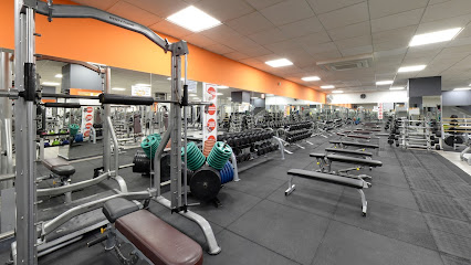 Body Factory (Elche