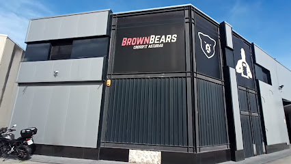 Brown Bears (Avilés
