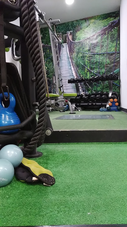 Centro Fitness QRX-Quiromax Training System (Piedralaves