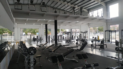 CENTROS DUFIT - BOX & GIMNASIO (Alcantarilla