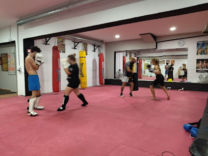 Club Deportivo Pro Box Menorca (Mahón