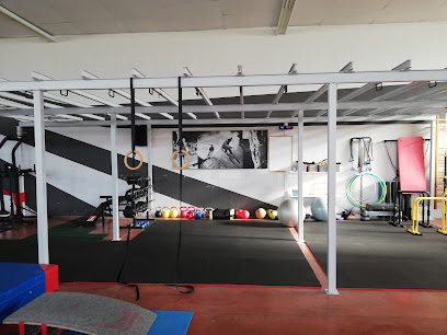 Club Gelx Gimnasia Artística (Elche