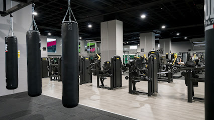 Dreamfit Gijón (Gijón