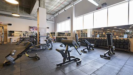 Dreamfit Sanse (San Sebastián de los Reyes