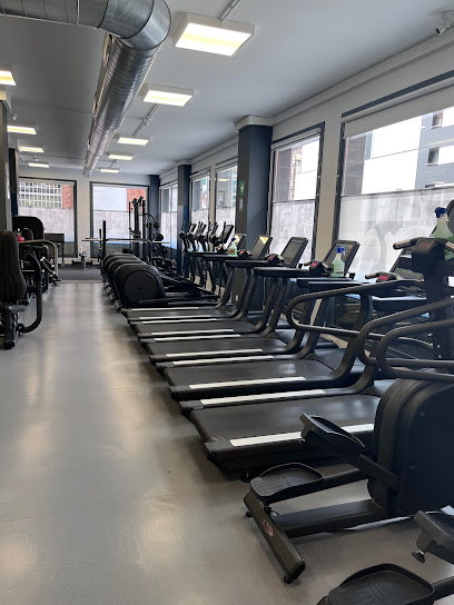 Dynamis Gym (Urretxu