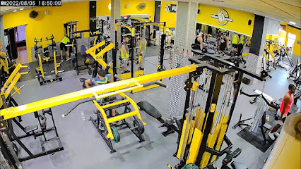 Fitness 2000 (Callosa de Segura