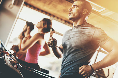 Gimnasio BDIR Figueres (Figueres