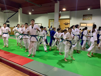 GIMNASIO DANES (Castelldefels