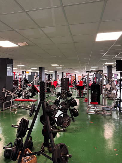 Gimnasio Fitness Zone Beach (Torre de la Horadada