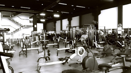 Gimnasio Francisco del Yerro (Alcalá de Henares