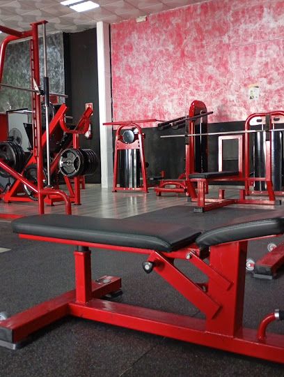 Gimnasio Olimpo S.C. (Lebrija