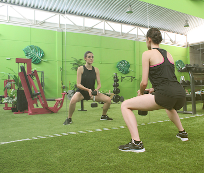 Gimnasio SM Fitness (La jungla) (Zaratán