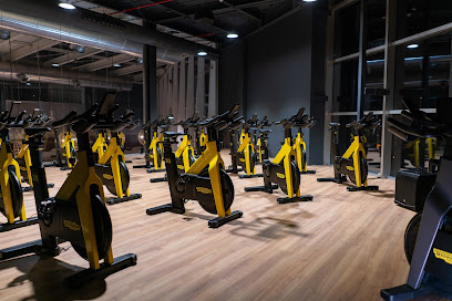 Gimnasio Sparta Sport Center Alcoi (Alcoi