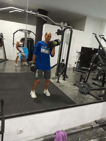 Global Fit (Palma
