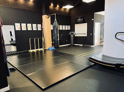 GRANADA BIOMECHANICS (Granada