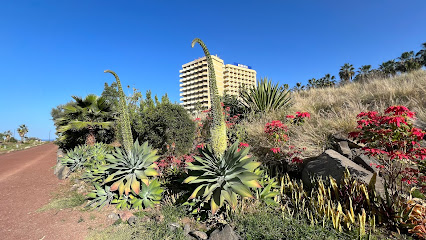 Humildad Gym (Puerto de la Cruz