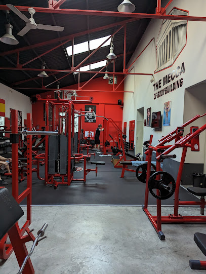 Iron`s Temple Gym (Xàtiva