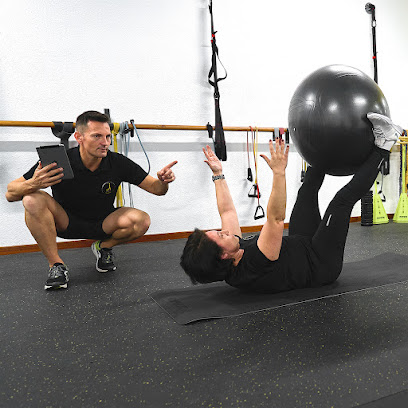 JMF Trainer (Moncada