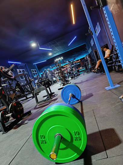 LEVELS GYM (Aspe