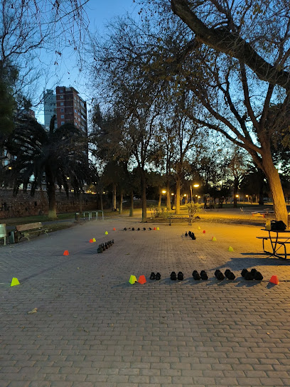 Movimiento Funcional Urbano (MFU) (Valencia