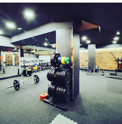 Muoka Urban Fitness (León