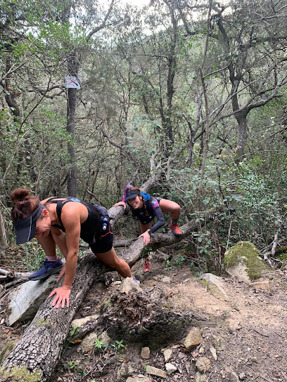 Paranormal Training (La Llagosta