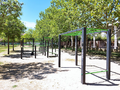 Parque dominadas y calistenia Laguna de Duero (Laguna de Duero