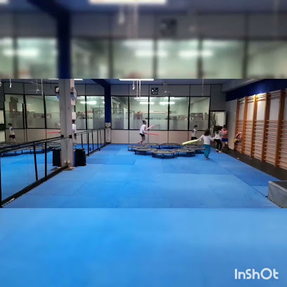 Pesas Gym & Fitness (Gijón