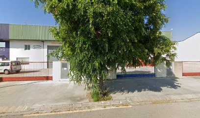 Sergi sport (Sueca