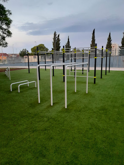 Street Workout (Carcaixent