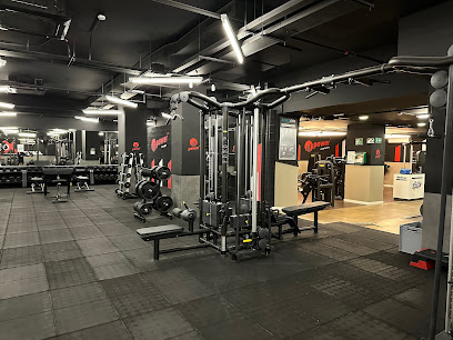Synergym Castellón Parque Ribalta (Castellón de la Plana