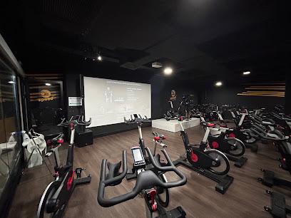Synergym Sabadell Paddock (Sabadell