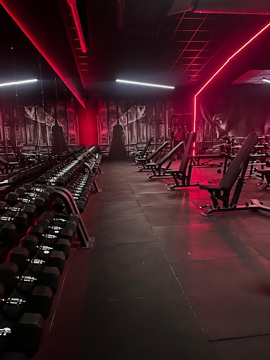 Vulture Fitness & Box (Moncada