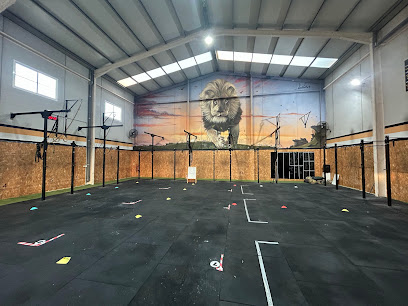 Wild Soul Crossfit El Pilar (Pilar de la Horadada