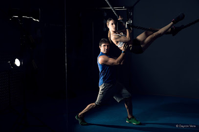 William Training System (Barcelona