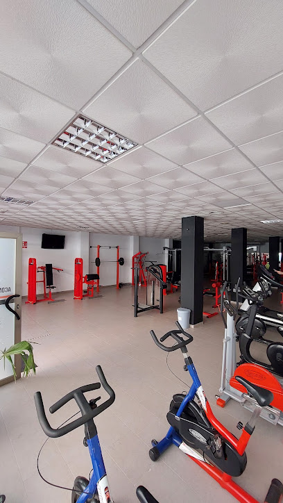 WORLD FITNESS CLUB (Puente Genil
