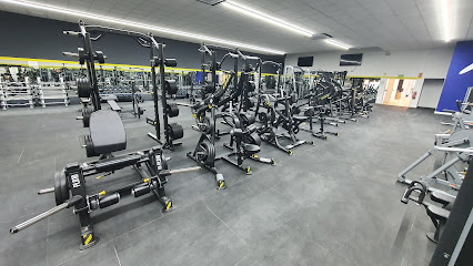Xfitness Pinto (Pinto
